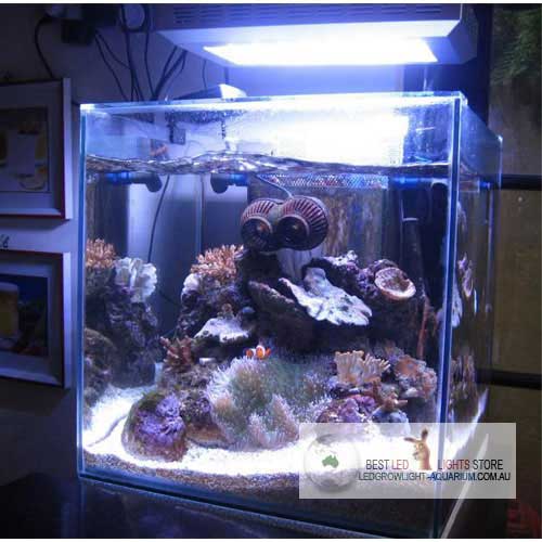 120W LED Aquarium Light For Aquatic Plant Growth Energy Saving