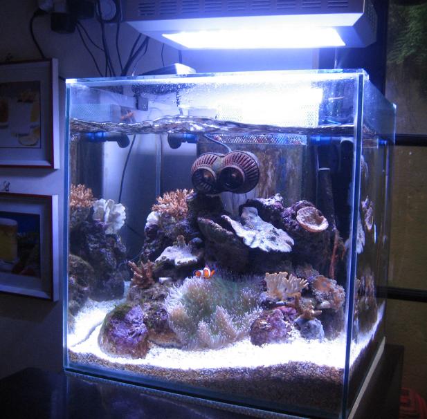Marine LED Lights 300W For Fish Corals Tasmania