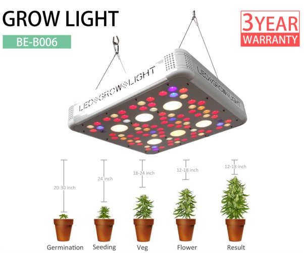 300W Cree COB Upgrade LED Grow Light For Indoor Plants