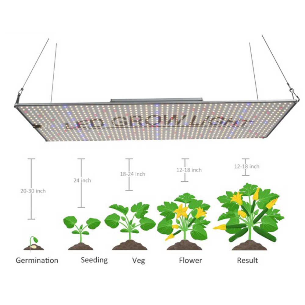 300W Samsung Quantum Grow Light LED For Hydroponic Garden
