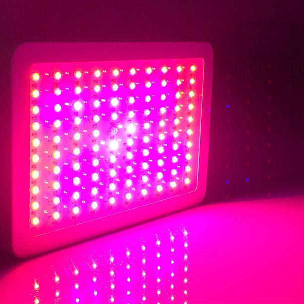 Full spectrum 300w LED Grow Light For Growing Marijuana