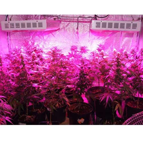 Full spectrum 430 Watt LED Grow Light Include IR And UV