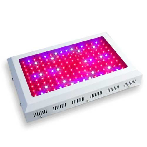 430W LED Grow Light for Hydroponic Growing Plants