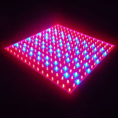 Cheap Price 14W LED Grow Lamp for Home Garden Plants