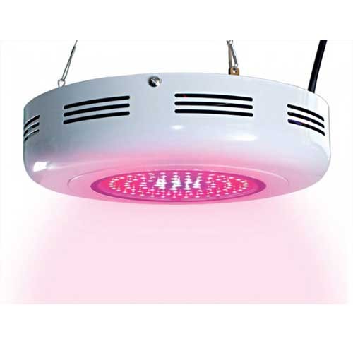 90W UFO LED Grow Light Sydney