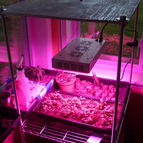 Full spectrum 165W LED Grow Light For Growing Marijuana