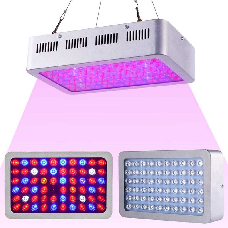 600w LED Grow Light With Lens For Indoor Growing Cannabis