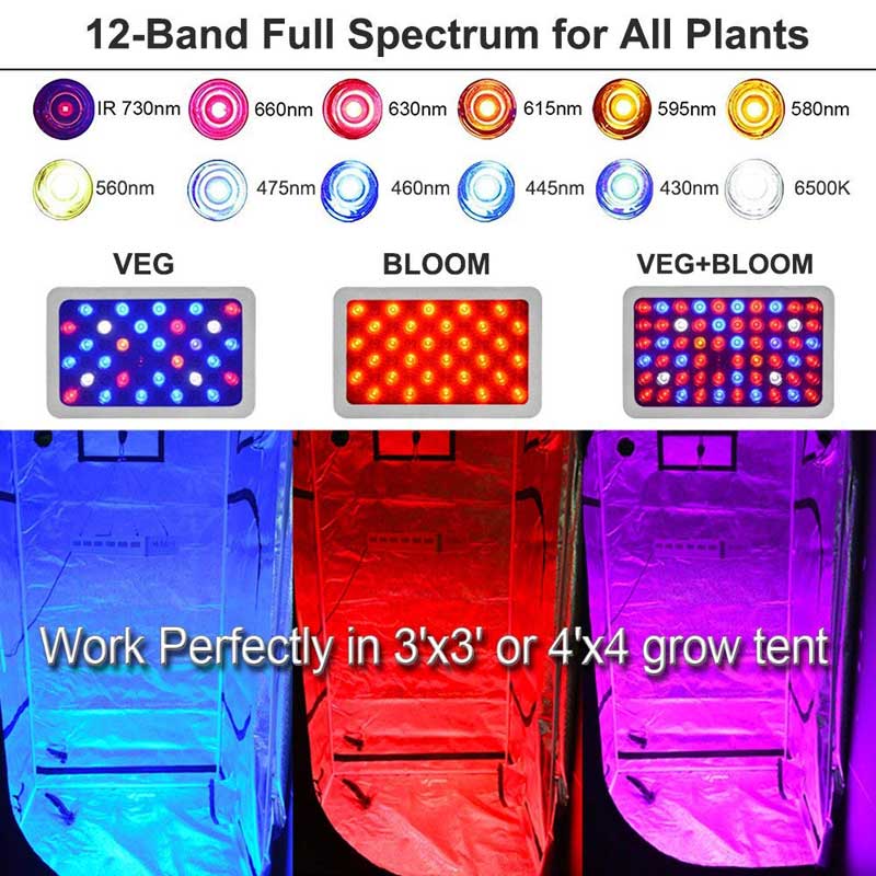 600w LED Grow Light With Lens For Indoor Growing Cannabis