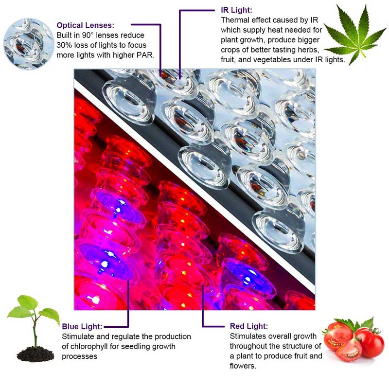 600w LED Grow Light With Lens For Indoor Growing Cannabis