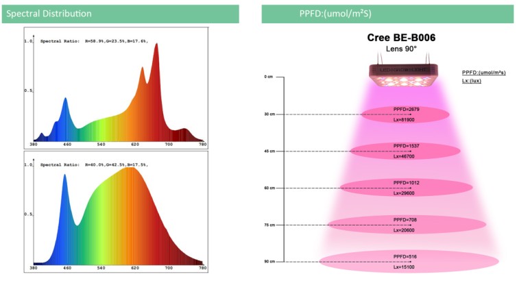 300W Cree COB Upgrade LED Grow Light For Indoor Plants