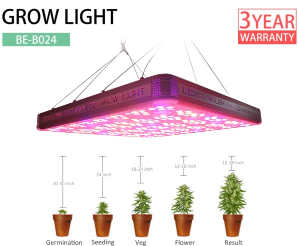 1200W Cree COB LED Grow Light For Greenhouse Hydroponic