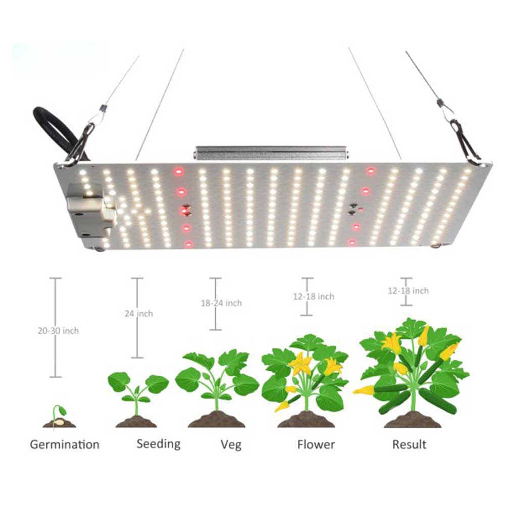 100W Samsung Ultra-thin Quantum Board LED Grow Light