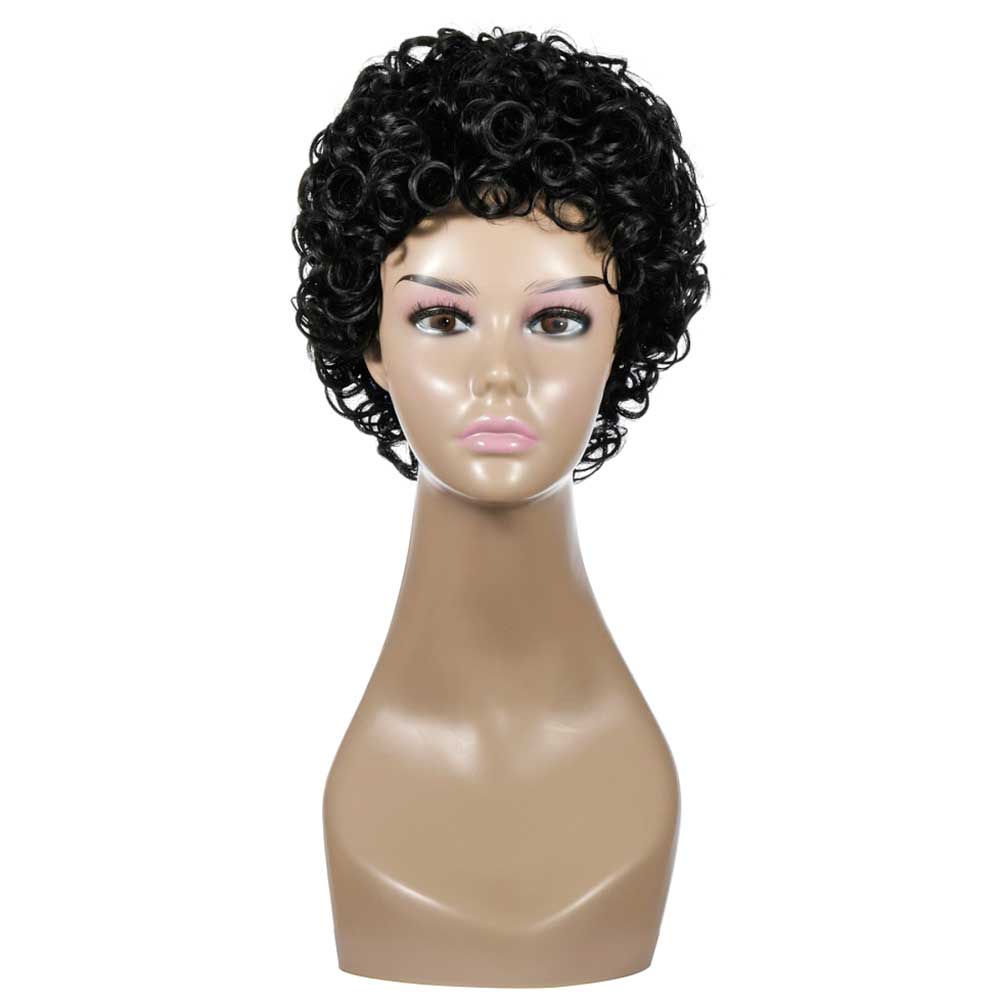 Curly Wigs for Black Women Short Kinky Curly Wig