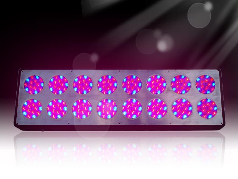 720w Apollo 16 LED Grow Light For Growing Marijuana Plants