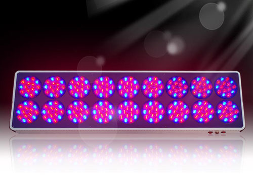 800w Apollo 18 LED Grow Light Hot Sale South Australia Adelaide