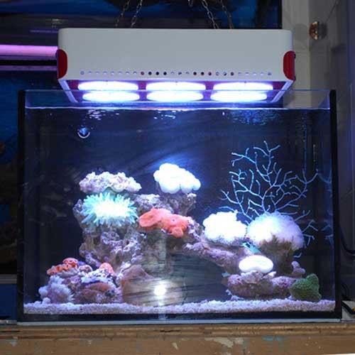 New Design Apollo 6 LED Aquarium Light