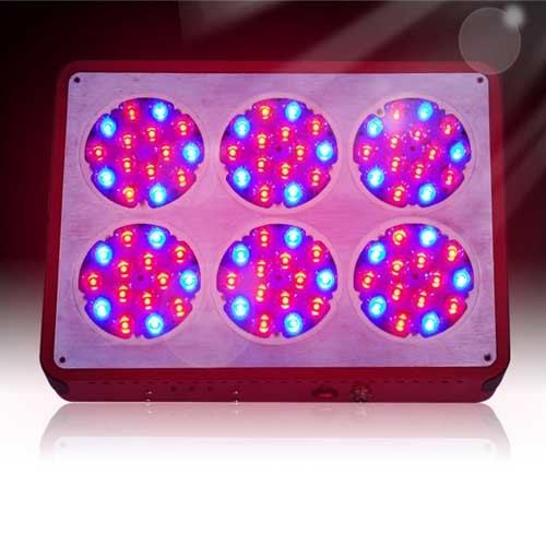 270W Apollo 6 LED Grow Light For Hydroponic Grow Lights