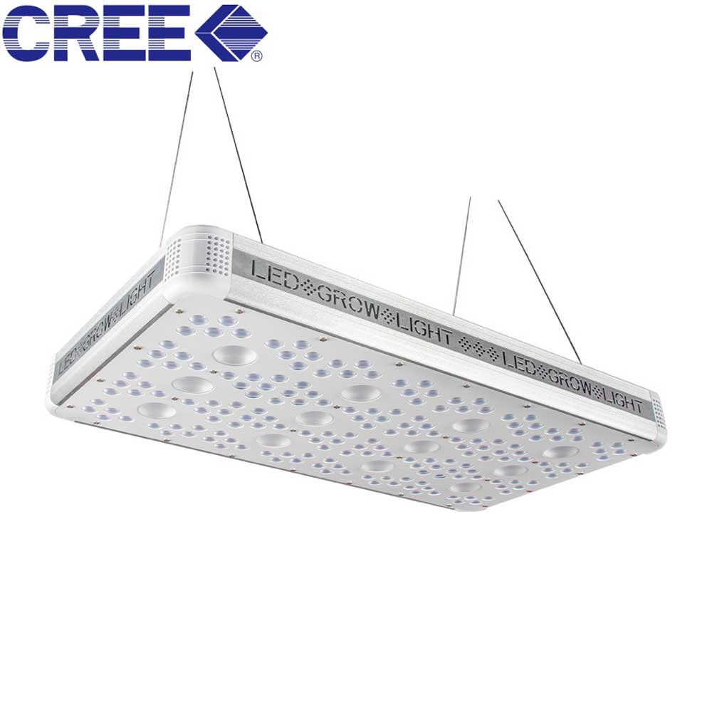 600W Cree COB LED Grow Light For Basement Grow Plants