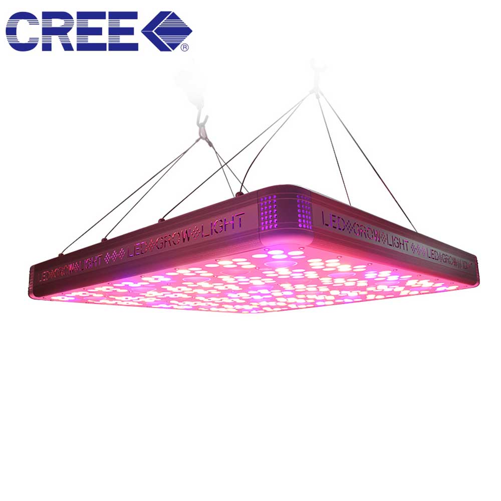 1200W Cree COB LED Grow Light For Greenhouse Hydroponic