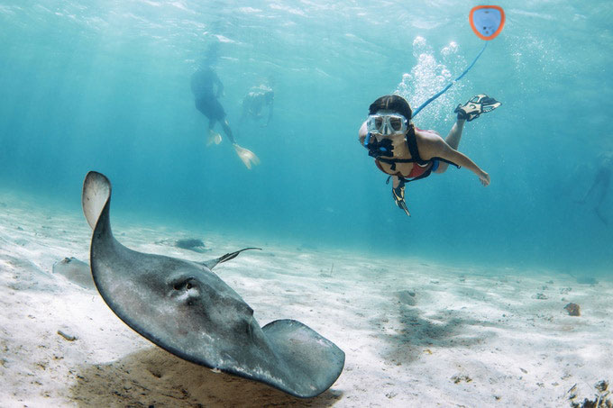 Diving Equipment