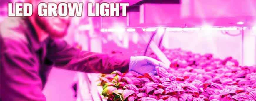 Buy led grow lights